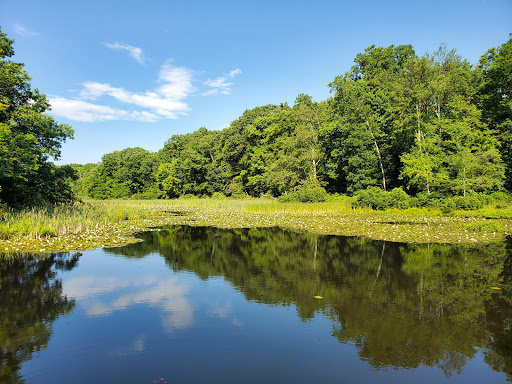 Park «Muriel Hepner Nature Park», reviews and photos, Diamond Spring Rd, Denville, NJ 07834, USA