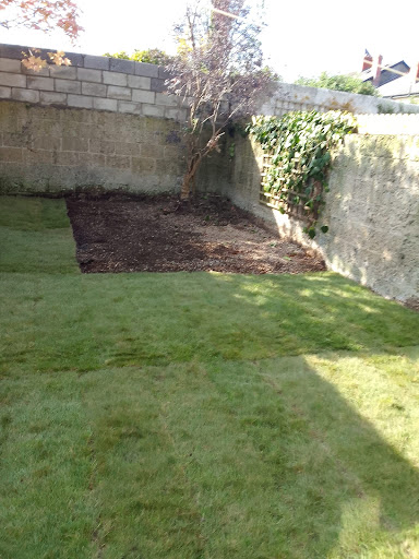Topcare Tree and Landscaping Services