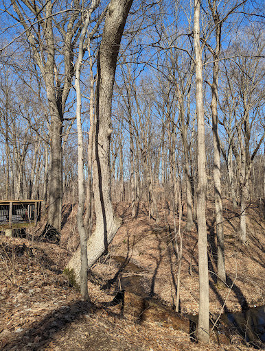 McCoy Creek Trail