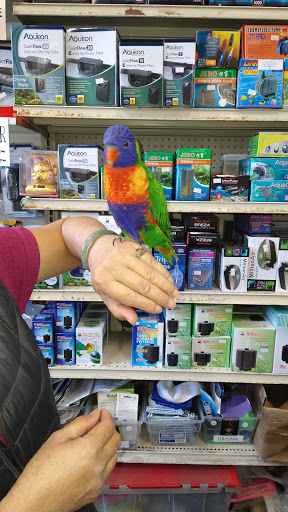 Tropical Fish Store «Sunset Pet & Supplies», reviews and photos, 1373 Sunset Blvd, Los Angeles, CA 90026, USA