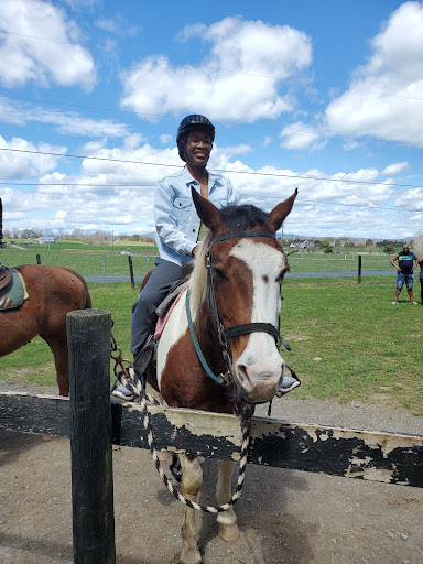 Tourist Attraction «Jordan Hollow Stables», reviews and photos, 657 Pine Grove Rd, Stanley, VA 22851, USA