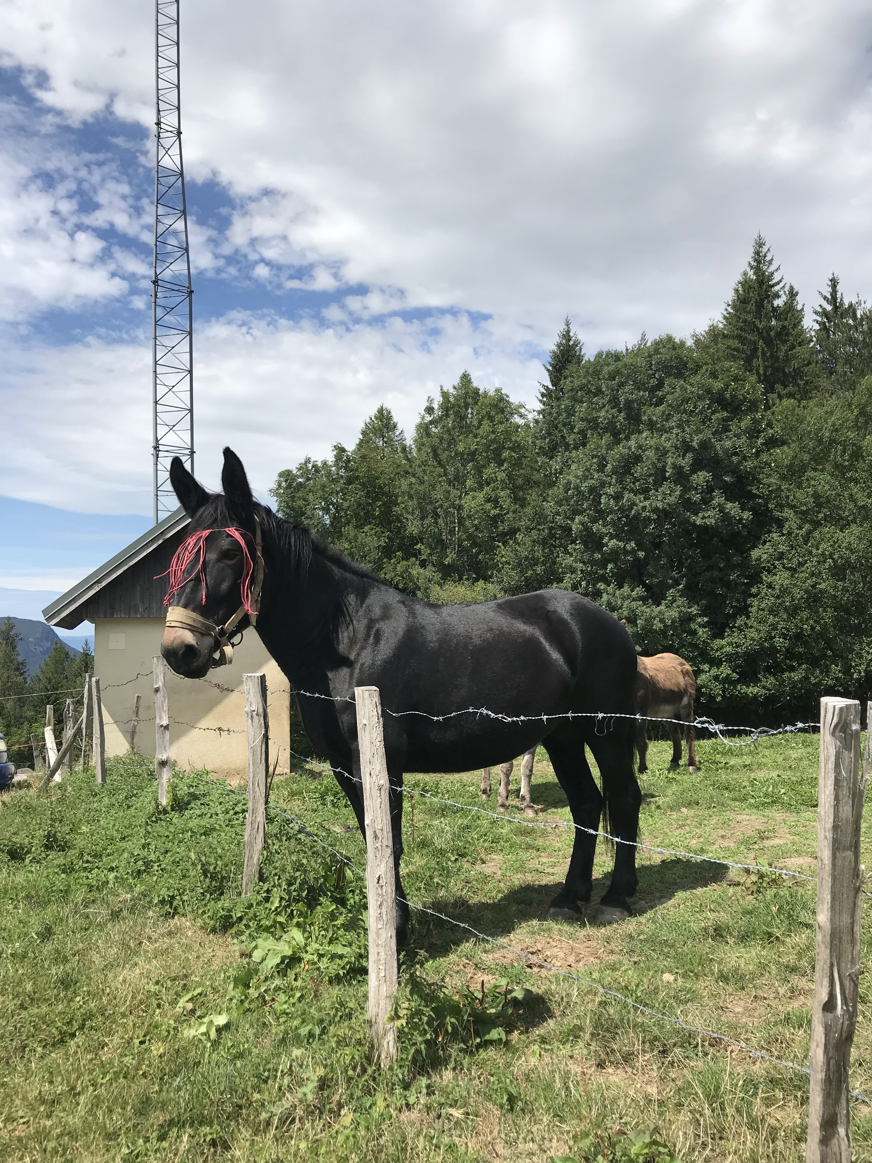 Photo n° 3 de l'avis de Moi.o fait le 17/08/2019 à 17:15