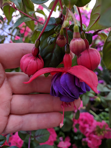 Supermarket «Big Y», reviews and photos, 802 Williams St, Longmeadow, MA 01106, USA