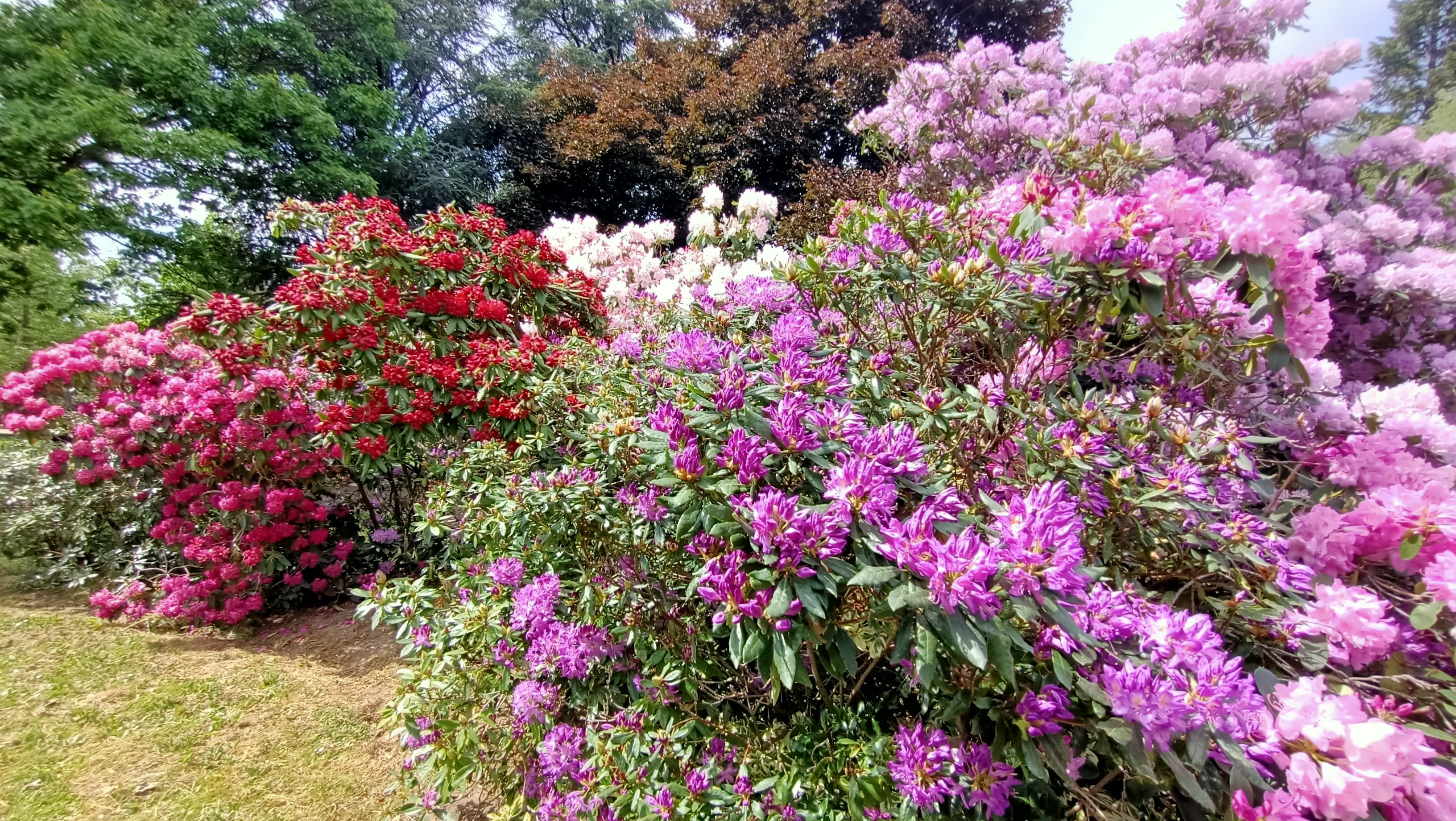 Photo n° 6 de l'avis de Stéphane.e fait le 16/05/2022 à 07:43