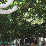 Photo n°9 de l'avis de Silvia.a fait le 08/08/2021 à 16:16 sur le  Ristorante Pizzeria al Limoneto à Dragonea