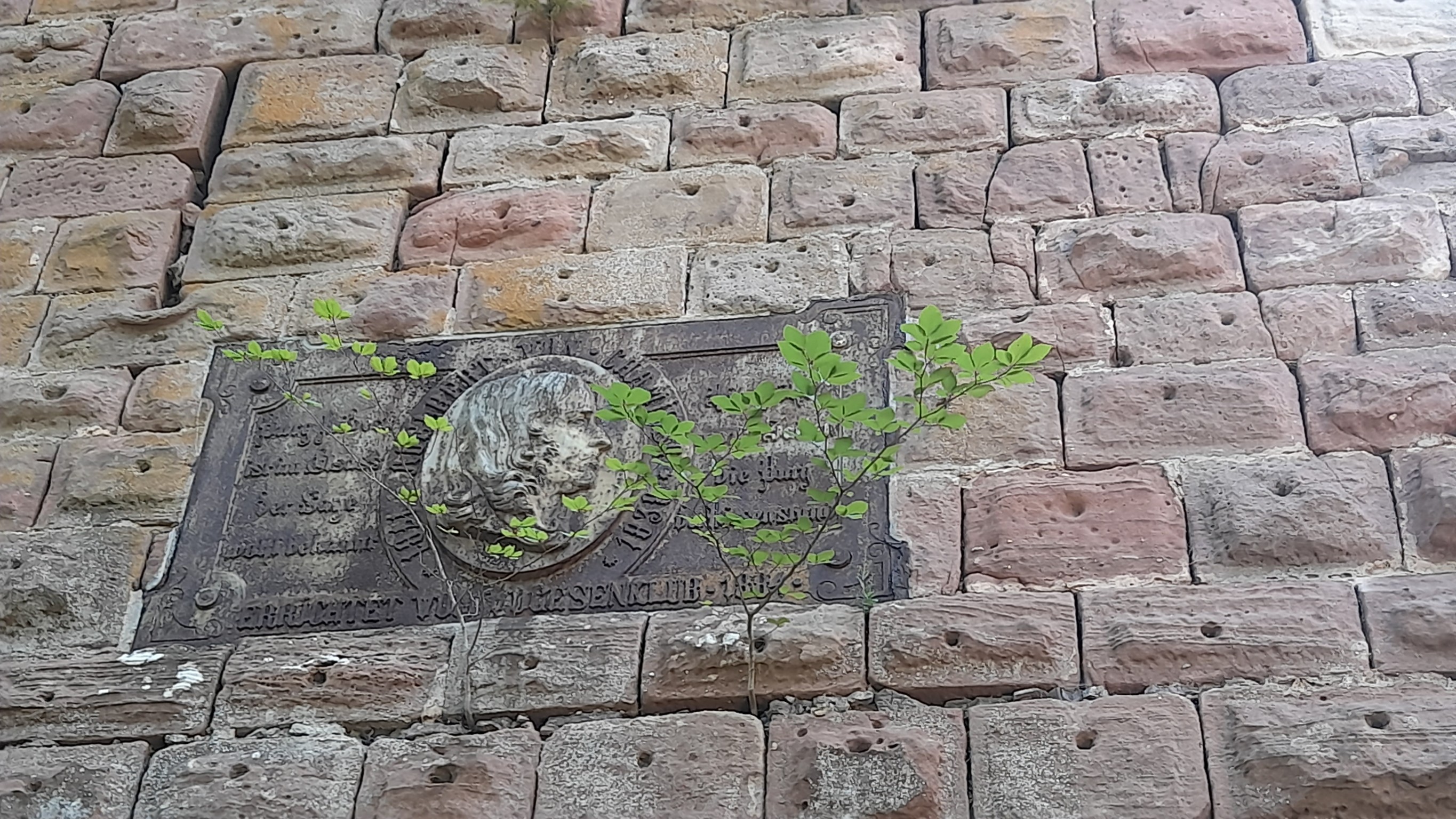 Photo n° 12 de l'avis de Kris.c fait le 20/07/2022 à 13:28