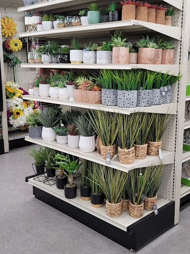 Discount Store «Big Lots», reviews and photos, 600 W 15th St, Plano, TX 75075, USA