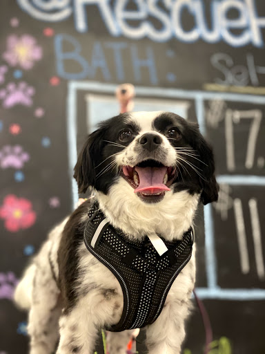 Pet Supply Store «Pet Wants», reviews and photos, 9486 S Union Square, Sandy, UT 84070, USA