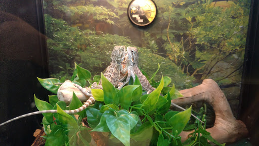 Pet Supply Store «PetSmart», reviews and photos, 355 Howe Ave, Cuyahoga Falls, OH 44221, USA