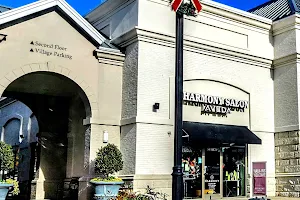 Harmony Salon & Spa image