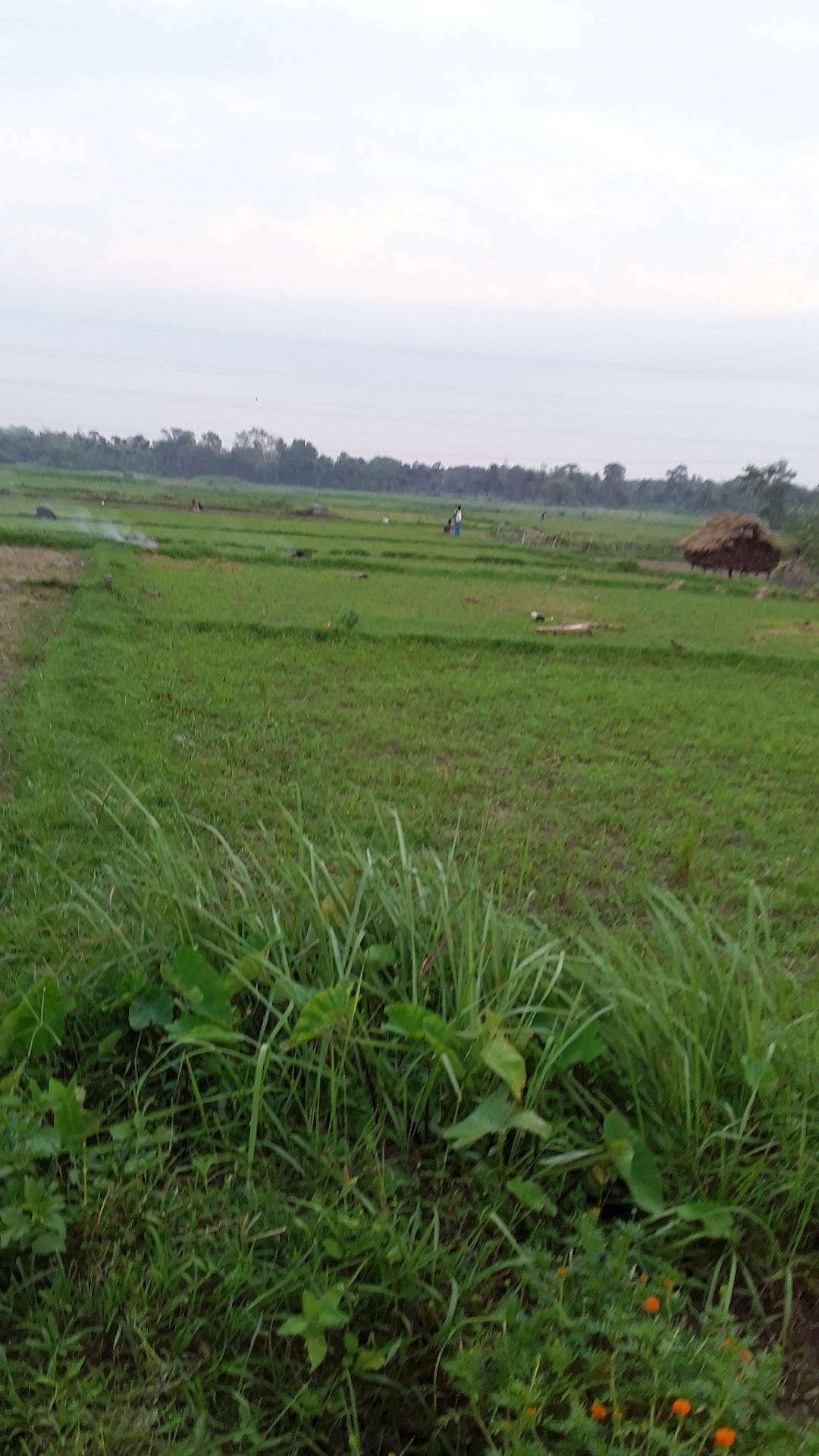 আড়খিসমা পাম্প
