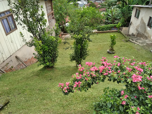 Logo da empresa - jardinagemmichael