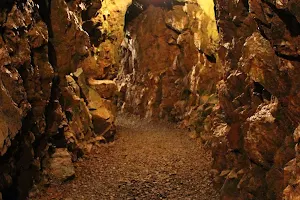 Reed Gold Mine image