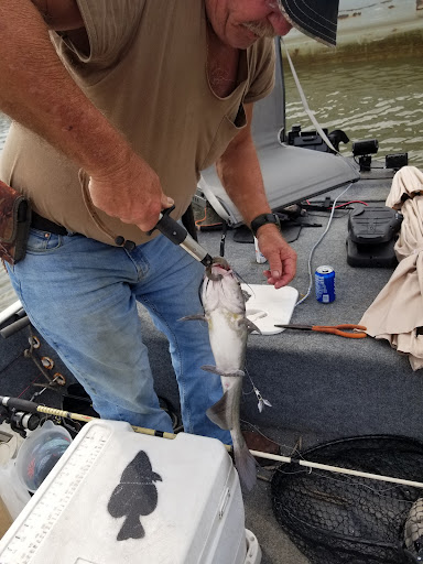 Pet Store «Big Heart Pet Brands», reviews and photos, 1200 Market St NE, Decatur, AL 35601, USA