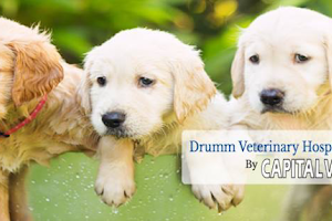 Drumm Veterinary Hospital image
