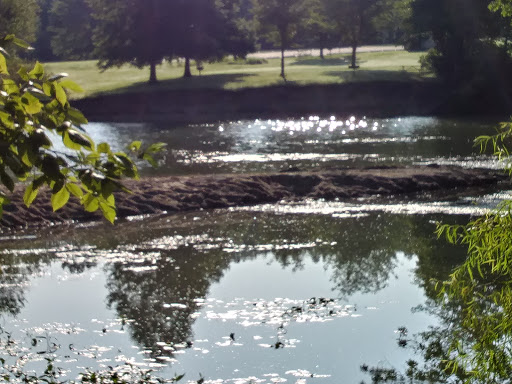 Tourist Attraction «West Branch State Park Beach», reviews and photos, Esworthy Rd, Ravenna, OH 44266, USA