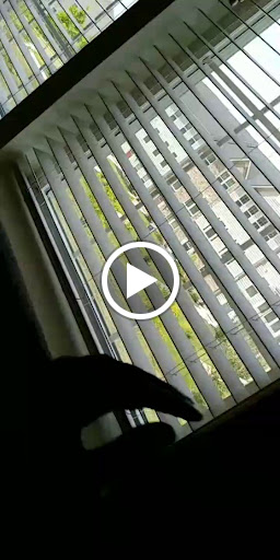 Furniture Store «Ashley HomeStore», reviews and photos, 1845 Carl D. Silver Parkway, Fredericksburg, VA 22401, USA