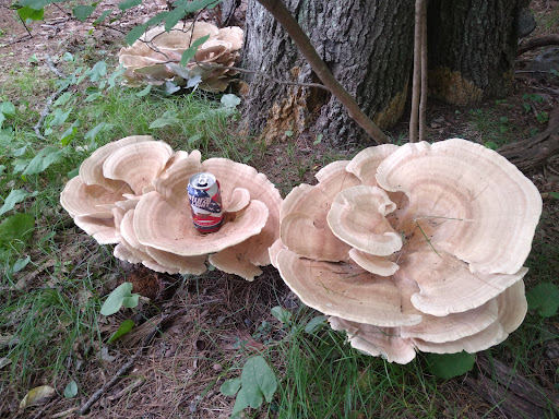 Golf Club «Crystal Lake Golf Club», reviews and photos, 940 N Broadway, Haverhill, MA 01832, USA