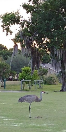 Golf Course «Bloomingdale Golfers Club», reviews and photos, 4113 Great Golfers Pl, Valrico, FL 33596, USA