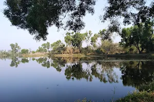 Attiveri Bird Sanctuary image