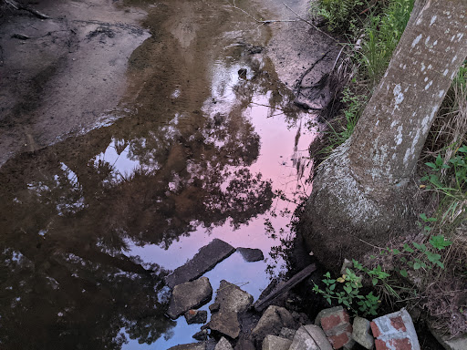 Park «Hammock Park», reviews and photos, 1945 San Mateo Dr, Dunedin, FL 34698, USA