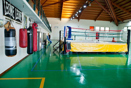 Pianoro Sport Academy asd Via Nazionale, 106/2, 40065 Pianoro BO, Italia