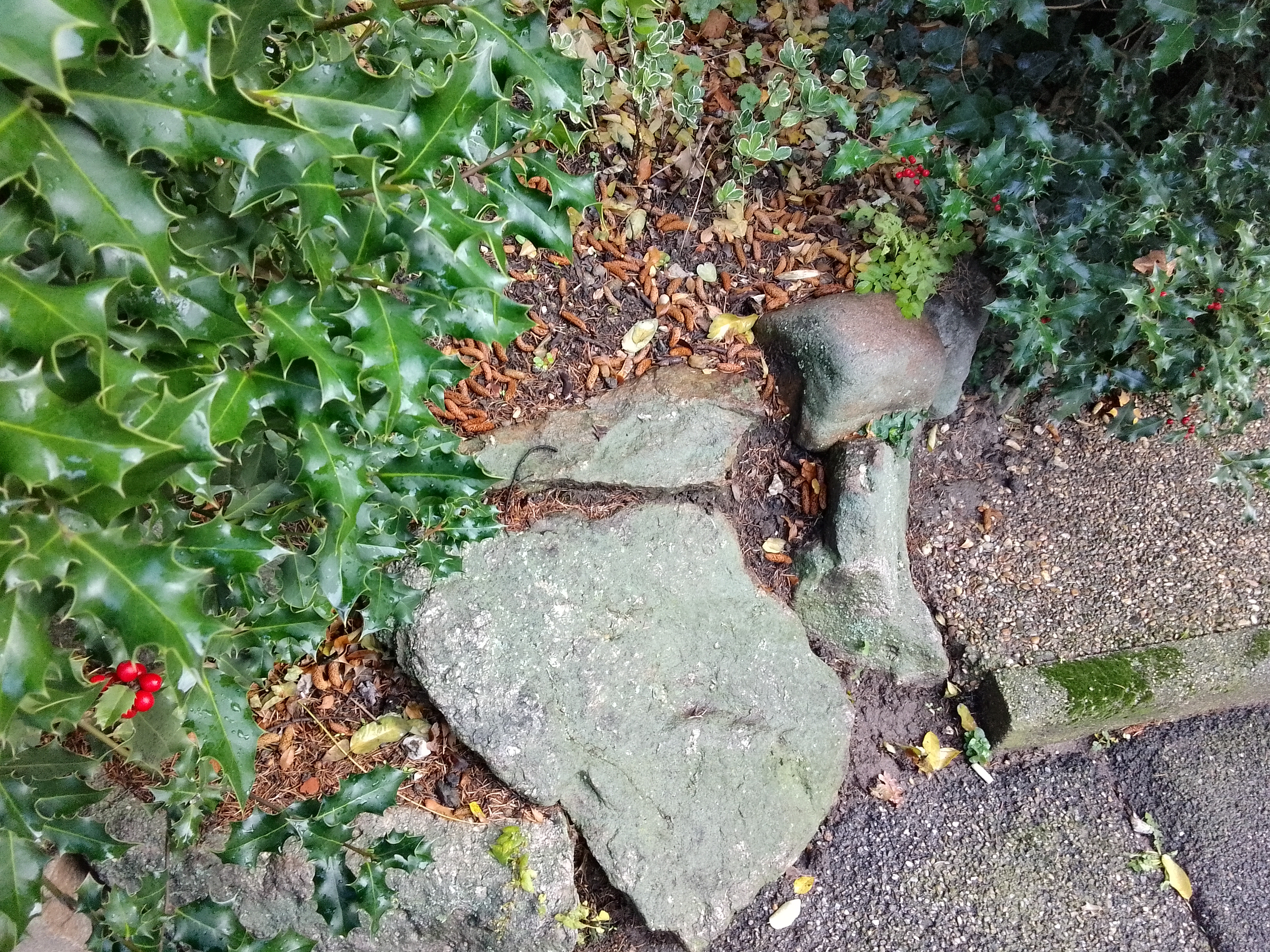 Photo n° 17 de l'avis de Lyson.m fait le 28/11/2023 à 11:34