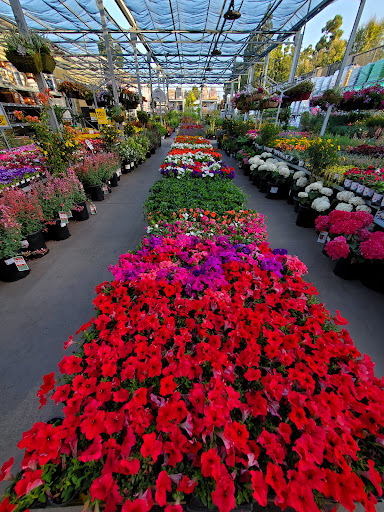 Home Improvement Store «The Home Depot», reviews and photos, 3500 W MacArthur Blvd, Santa Ana, CA 92704, USA