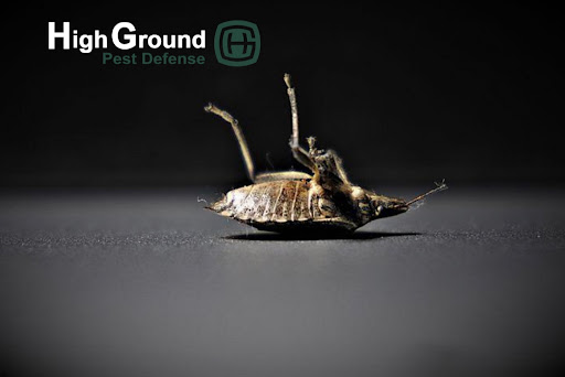 HighGround Pest Defense image 5