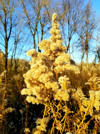 Nature Preserve «Hoover Forest Preserve», reviews and photos, 11285 W Fox Rd, Yorkville, IL 60560, USA