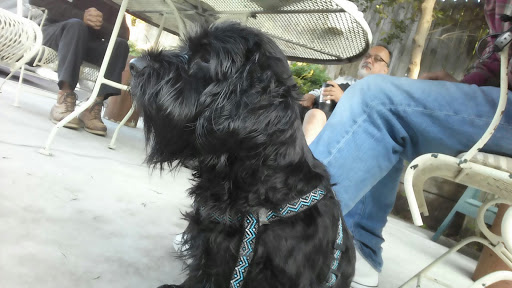 Pet Supply Store «Western Feed & Pet Supply», reviews and photos, 5935 Don Way, Carmichael, CA 95608, USA