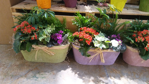 Grocery Store «Hannaford Supermarket», reviews and photos, 35 Hannaford Dr, Red Hook, NY 12571, USA