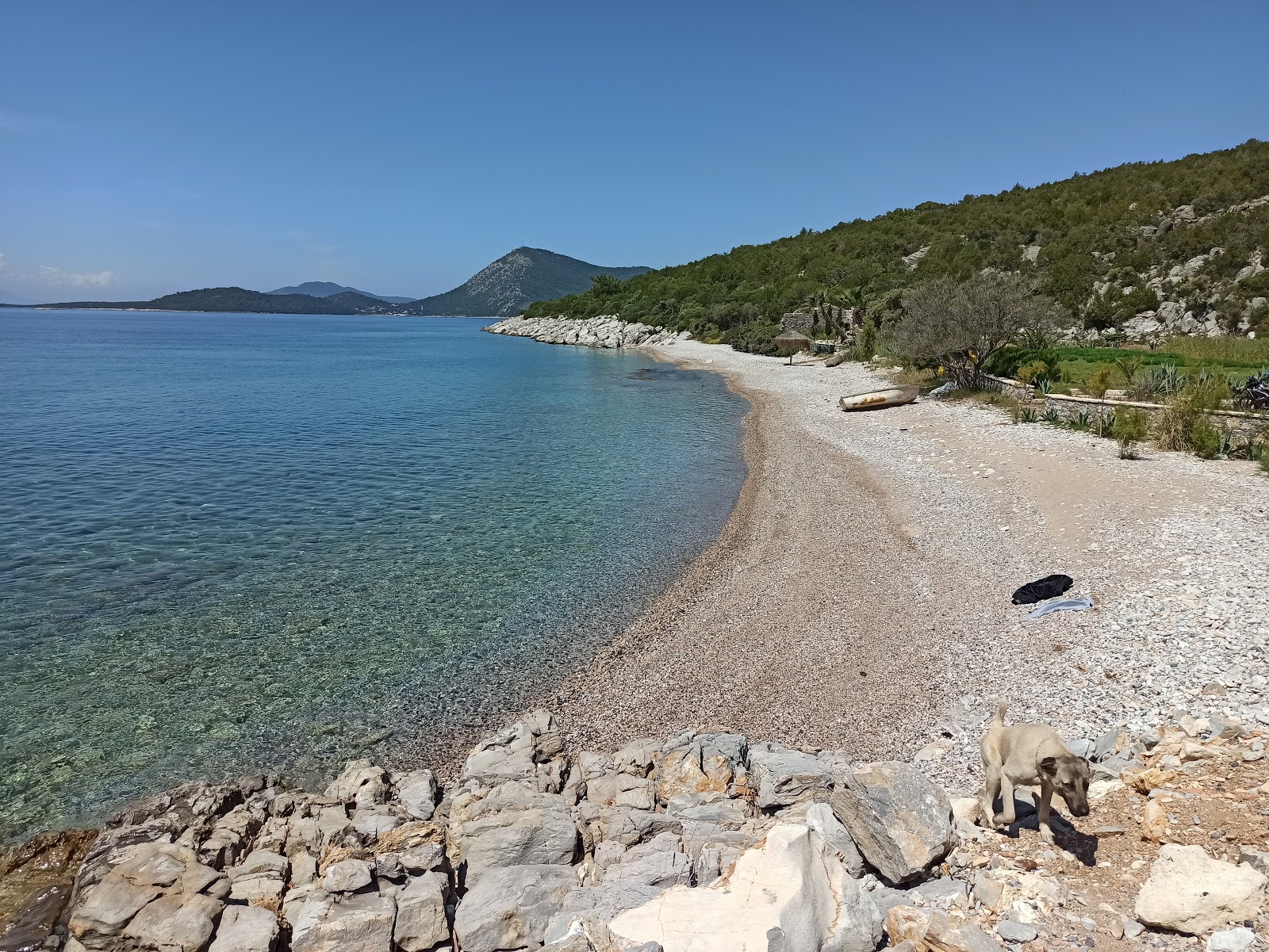 Dangir Bay的照片 带有轻卵石表面