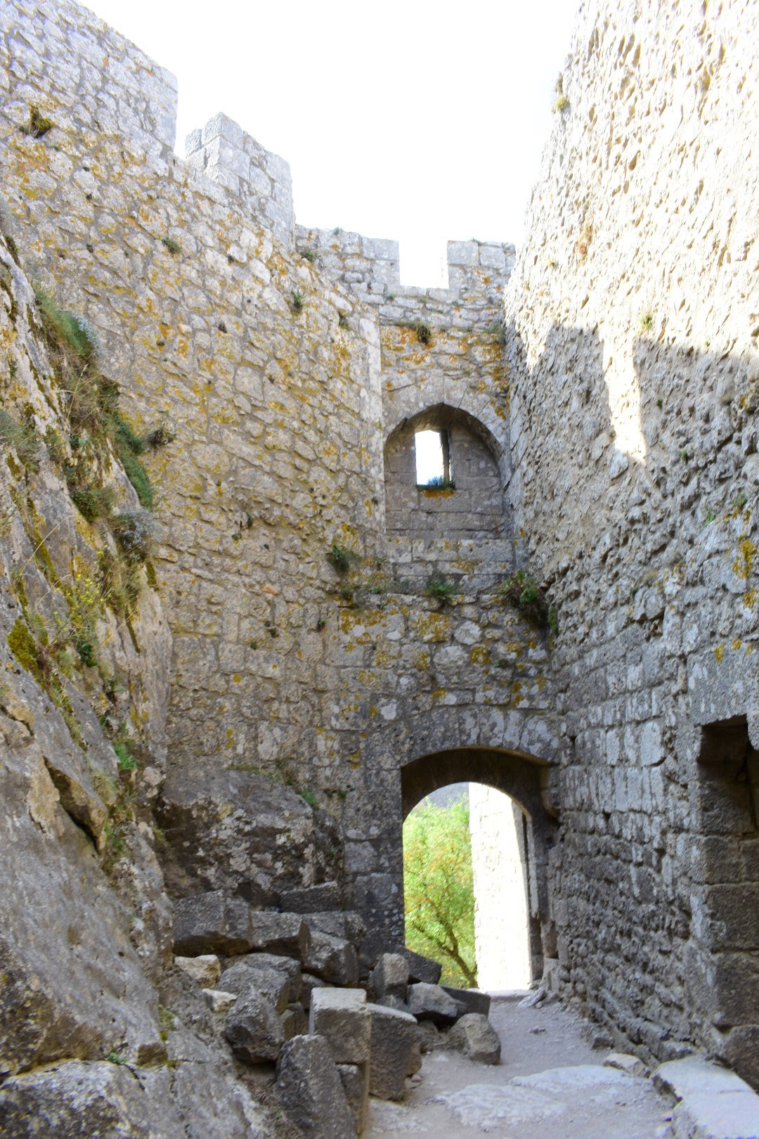 Photo n° 15 de l'avis de Flo.o fait le 15/09/2020 à 17:06