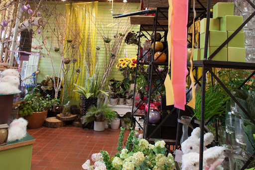 Florist «Countryside Floral & Garden», reviews and photos, 1420 NW Gilman Blvd #1, Issaquah, WA 98027, USA