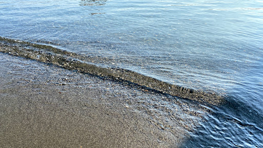 Park «Willard Wyatt Park», reviews and photos, 10508 Chapel Hill Rd, Lake Stevens, WA 98258, USA