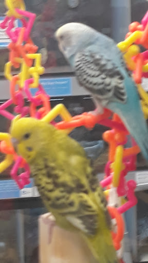 Pet Supply Store «Petco Animal Supplies», reviews and photos, 2140 E Blvd St, Kokomo, IN 46902, USA