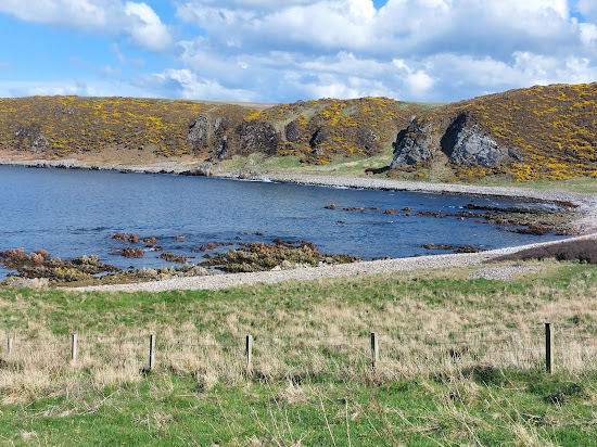 Salmon Bothy