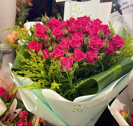 الورد الافضل Best Roses 