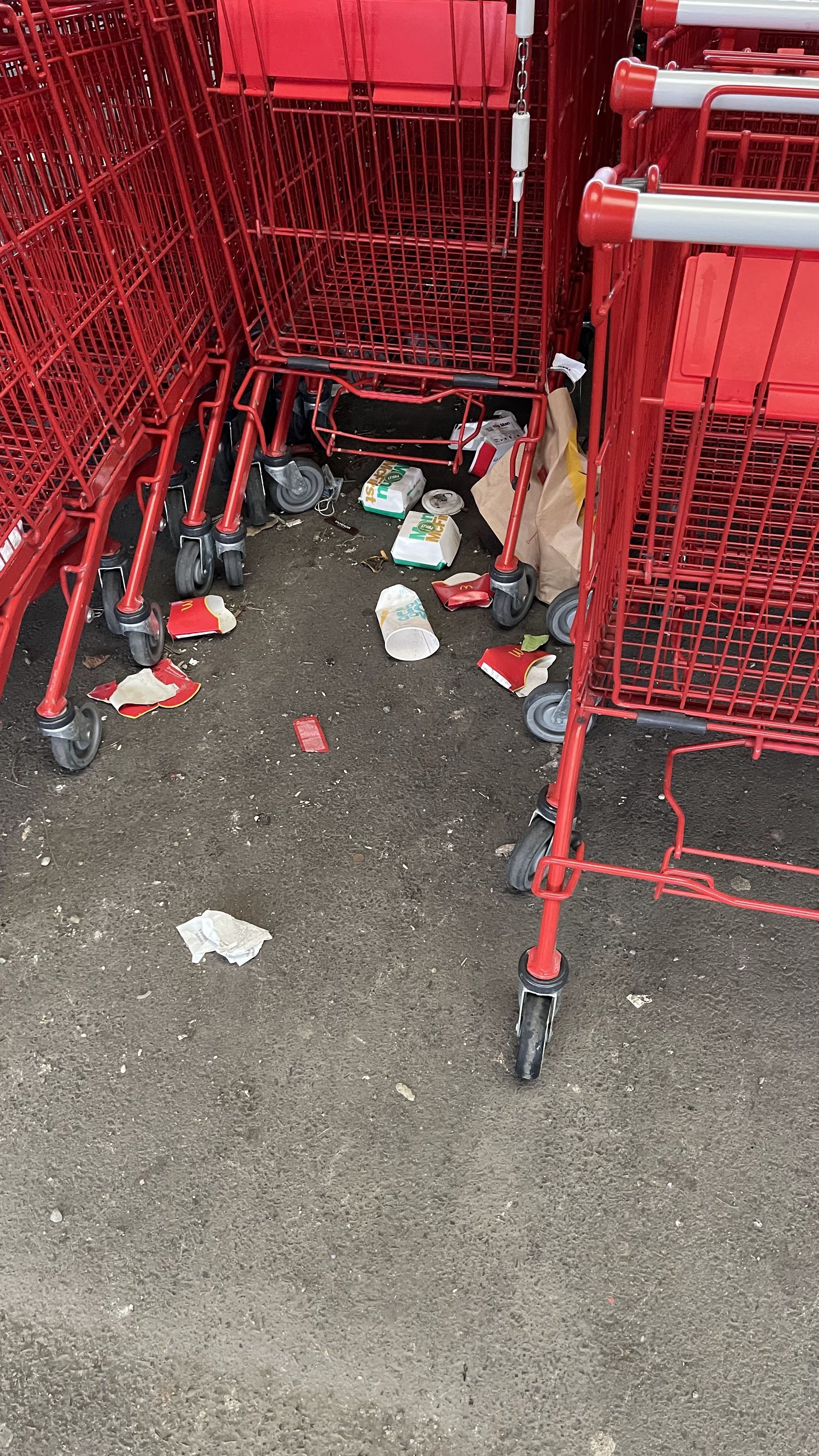 Photo n° 5 de l'avis de Thibault. fait le 22/02/2021 à 20:54