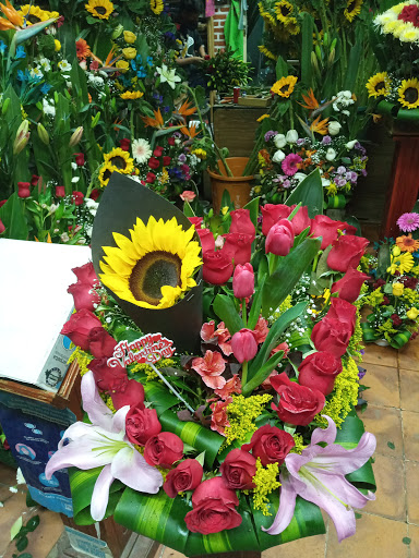 Floreria Onasis