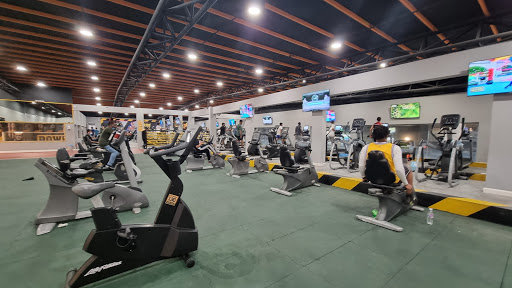 صالة القوة الرياضية 