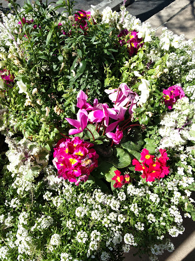 Grocery Store «Whole Foods Market», reviews and photos, 15980 Los Gatos Blvd, Los Gatos, CA 95032, USA