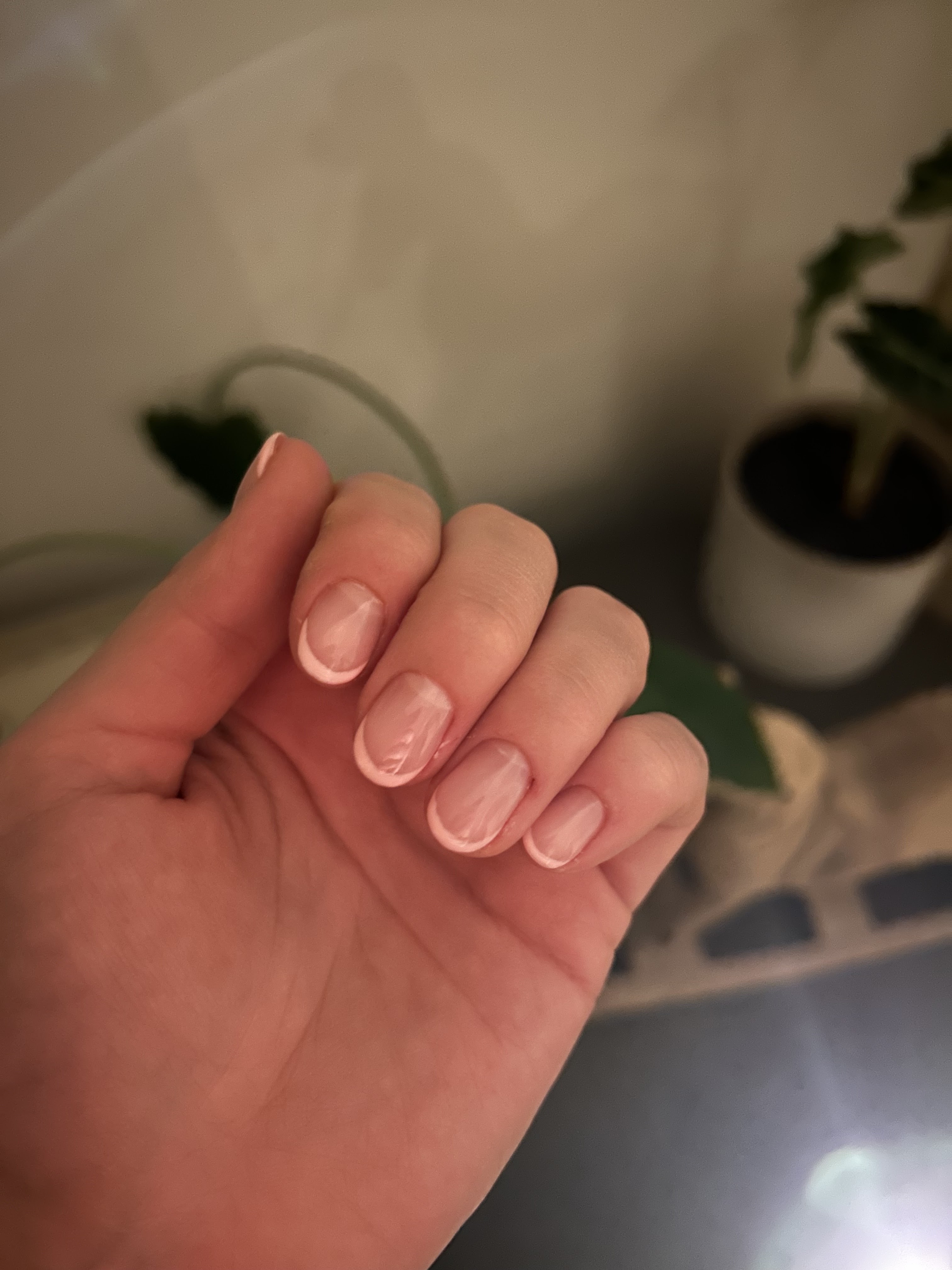 Photo n° 2 de l'avis de Chloé.E fait le 29/02/2024 à 18:45
