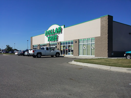Dollar Store «Dollar Tree», reviews and photos, 601 34th St N, Dilworth, MN 56529, USA