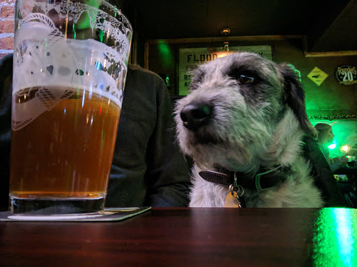 Beer Hall «Flood Valley Brewing Craft Taphouse», reviews and photos, 434 NW Prindle St, Chehalis, WA 98532, USA