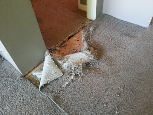 AAA Carpet Repair, 1850 Lorne St, Vancouver, BC V5T 1C9