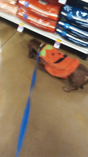 Pet Supply Store «PetSmart», reviews and photos, 2940 Chapel Hill Rd, Douglasville, GA 30135, USA