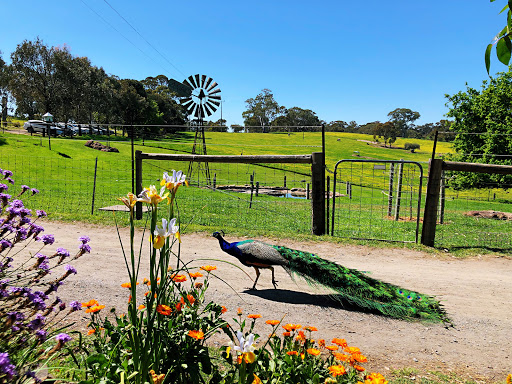 Four Oaks Farm