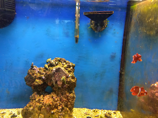 Pet Supply Store «Petco Animal Supplies», reviews and photos, 5631 Grove Blvd, Hoover, AL 35226, USA